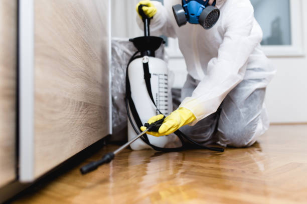 Best Affordable Exterminators  in Lakemoor, IL