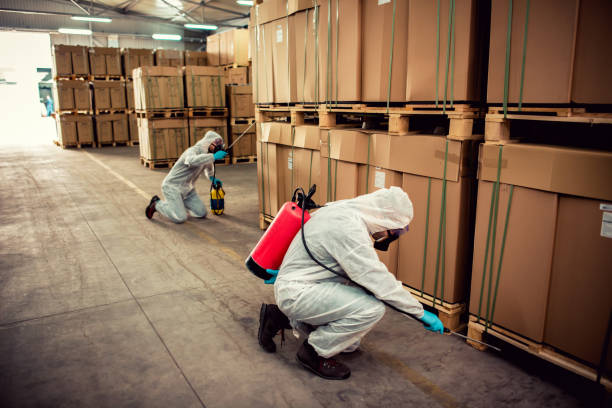Best Exterminator Services  in Lakemoor, IL