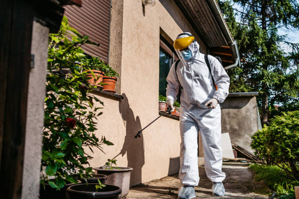 Best Rat Extermination Near Me  in Lakemoor, IL