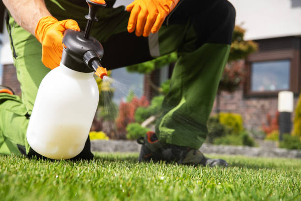 Best Best Pest Control Companies  in Lakemoor, IL