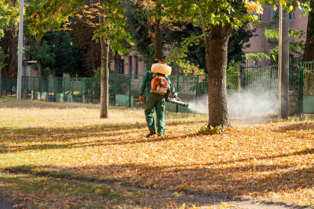Best Ant Control Services  in Lakemoor, IL
