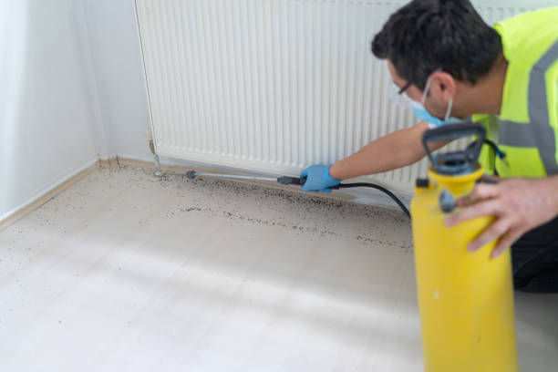 Best Wasp Removal Services  in Lakemoor, IL