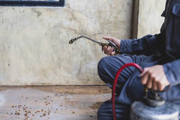 Best Pest Control Near Me  in Lakemoor, IL