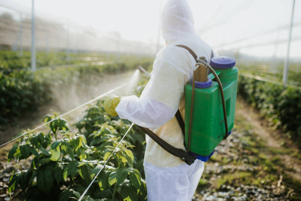 Best Insect Control  in Lakemoor, IL